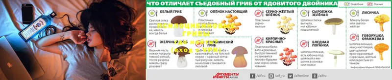 OMG вход  Буинск  Псилоцибиновые грибы Magic Shrooms  наркошоп 